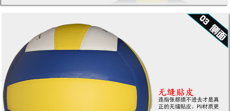 Ballon de volley - Ref 2009078 Image 15