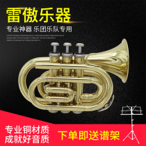  Palm number Musical instrument down B tone Portable mini pocket number cornet Paint gold Palm number Student beginner