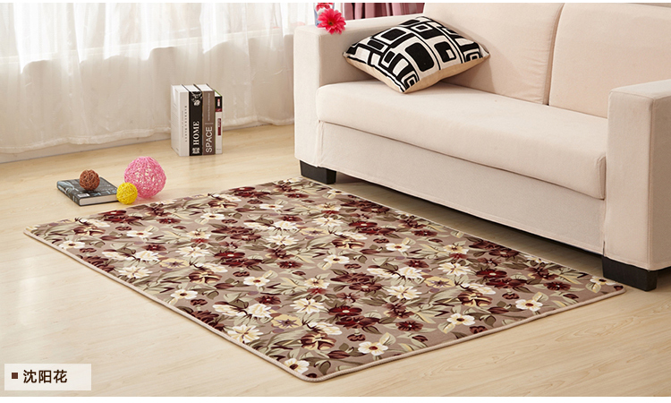 Có thể giặt tay thảm phòng ngủ đầu giường chăn phòng khách sofa bay cửa sổ phòng chiếu hình chữ nhật sàn thấm - Thảm sàn thảm cao su chống trượt nhà tắm