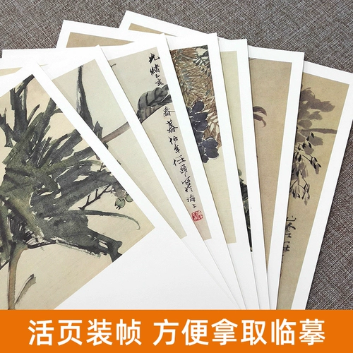 Da kaiben ren bo nian живопись 3 живопись 3 китайский высший художественный колледж тип преподавания Ren Bonian Free Hand Techniques Техника живописи Анализ Копируйте книги китайская коллекция живописи коллекции народные художественные издательство