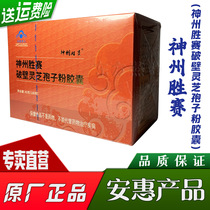 * Baimijian (Shenzhou Victory) An Hui product Kane sunset net heart holding Ganoderma