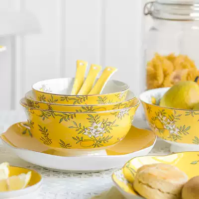 Anna 16 points bone china tableware dishes set home European ceramic rice bowl plate American ins Net Red