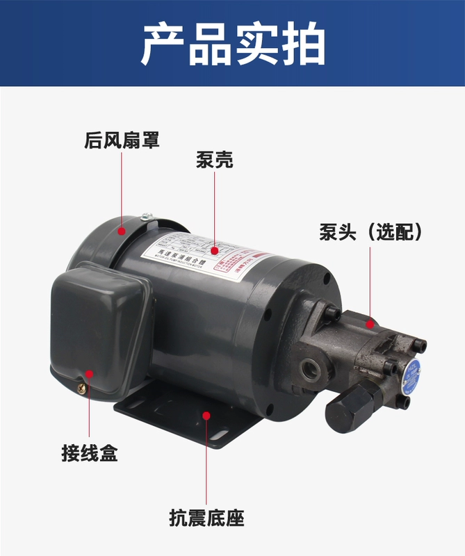 lưu lượng bơm thủy lực Thủy Lực Bánh Răng Bơm Dầu Điện Cycloid Bơm Bôi Trơn Động Cơ Bơm TOP11A12A Tam Giác Điện Bơm Dầu 380V/220V nguyên nhân bơm thủy lực mất áp bơm thủy lực tay