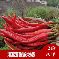 Hunan specialty sour pepper Yongshun farm sour and spicy pickled spicy pickled pickled pickled pickled pickled pickled pickled pickled pickled pickled pickled pickled pickled pickled pickled pickled pickled