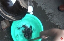 2017 Tang Shiyou-Downs Plaster making Downs Bone video