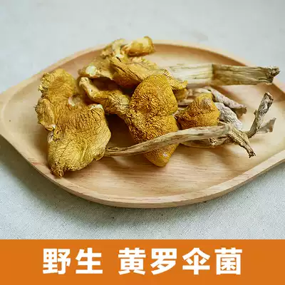 Yunnan wild goose fungus yellow rooseus dried goods 100G specialty Wild Fungus Mushroom yellow chicken coffon yellow