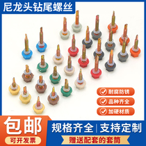 Nylon head drill tail screw waterproof nail plastic cap drill tail outer hexagonal dovetail screw with cap color steel tile self-tapping
