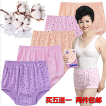 Elderly womens pure cotton panties high waist mom briefs head plus size fat cotton shorts for the elderly loose