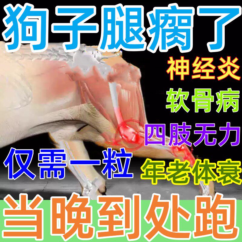 狗狗腿瘸药：髌骨脱位与神经炎治疗-狗特色保健品-淘宝好物网