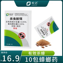 Jiaojiao cockroach medicine household non-non-toxic insecticidal powder Hotel strong kill small cockroach indoor glue bait 10 bags