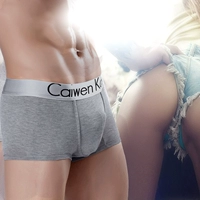 3 đồ lót thoải mái bằng cotton Đồ lót nam Boxer Thanh niên Tide Quần short nam Head Boxer Quần Quần lót nam ck01 sip cotton cao cấp