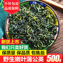 Dandelion Tea Wild Dried Dandelion Flower Tea Leaves Herbal Tea 500g Mother-in-law Ding Gu Gu Ding Dandelion Root Tea