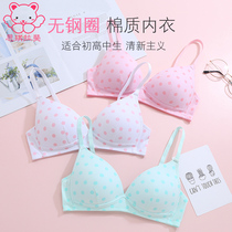 2021 New Women's Breasted Push-Up Thin Summer Junior High School Bra Wireless High School Girls Bra