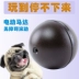 Pet bền mèo chơi bóng chó điện nhựa lăn bóng mèo bền bóng đồ chơi vật nuôi - Mèo / Chó Đồ chơi đồ chơi cho chó ngứa răng Mèo / Chó Đồ chơi