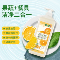 Vegetable and Orchard Cleaning Equipment Green Tea Star Light Fruit and Vegetable Filial Tableware Food Class Family Clothing Family Clothing