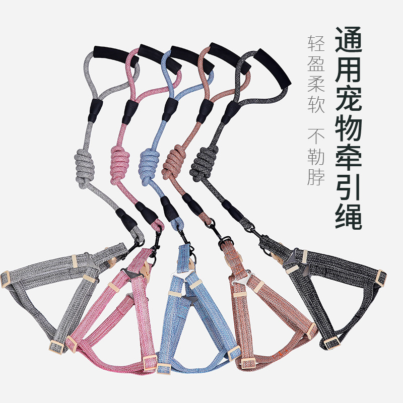 Pet Pyrida Bear Other Pooch Breast Gold Wool Dog Rope Teddy Dog With Dogfight Dog Necklace Dog Cuddling Bag Boutique