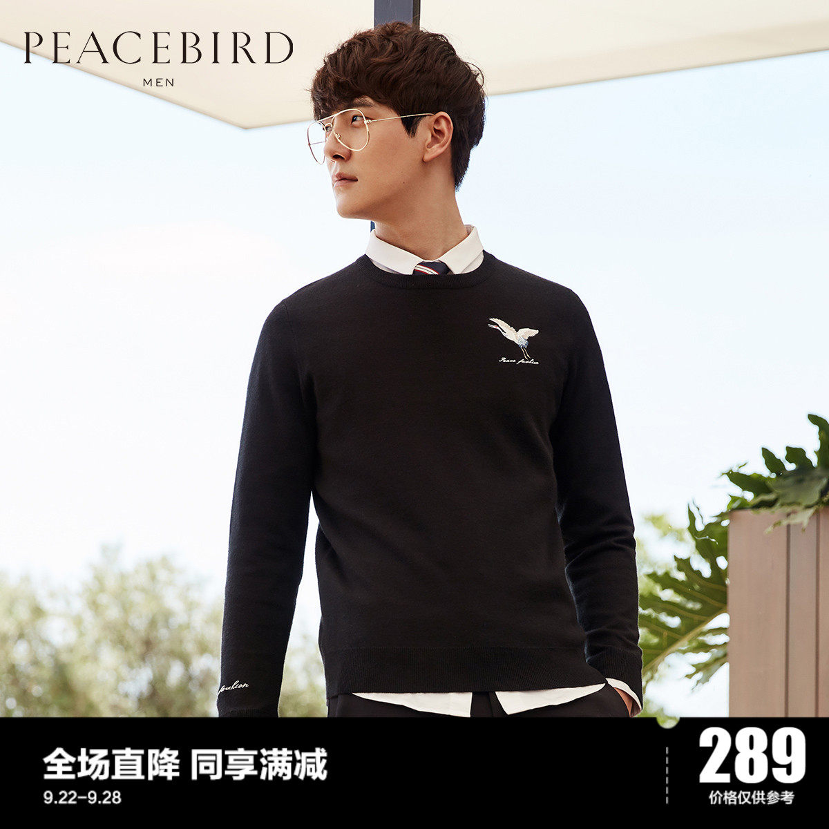 Peacebird Men's Youth Round Neck Knit Sweater Business Casual Fashion Korean Embroidered Pullover Sweater