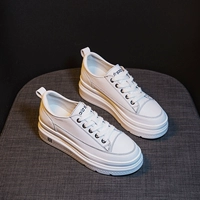 Белый и черный