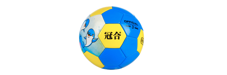 Ballon de football - Ref 7079 Image 19