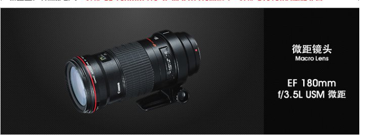 ống kính Canon EF180mm f / 3.5L Macro USM zoom tele vẫn dài ống kính macro côn trùng SLR - Máy ảnh SLR len máy ảnh canon