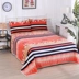 Winter nhung san hô dày ấm tấm flannel một mảnh chăn đơn đôi giường ký túc xá điều hòa không khí chăn - Khăn trải giường Khăn trải giường