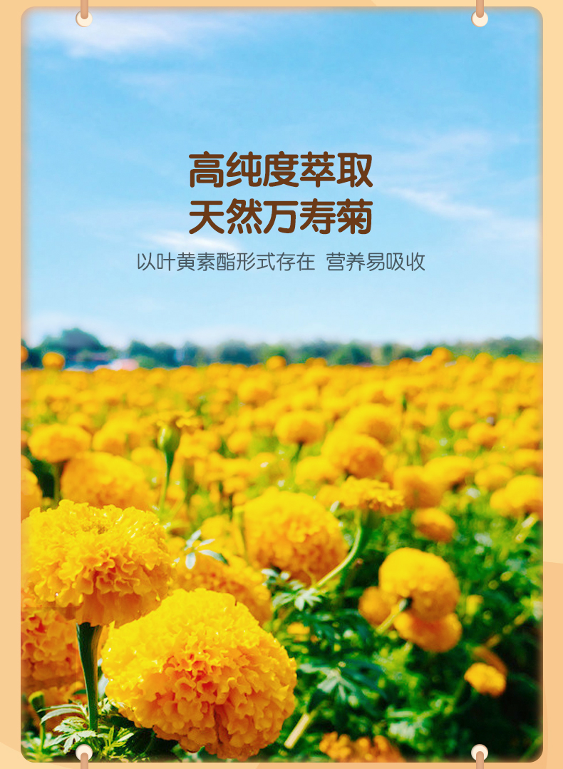 【新西兰原装进口】纽贝乐叶黄素