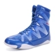 20312 Blue Standard Code
