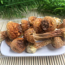 Tibetan Jiangnan Tibet Nyingchi specialty Agaricus matsutake mushroom Brazil matsutake dry goods 250g