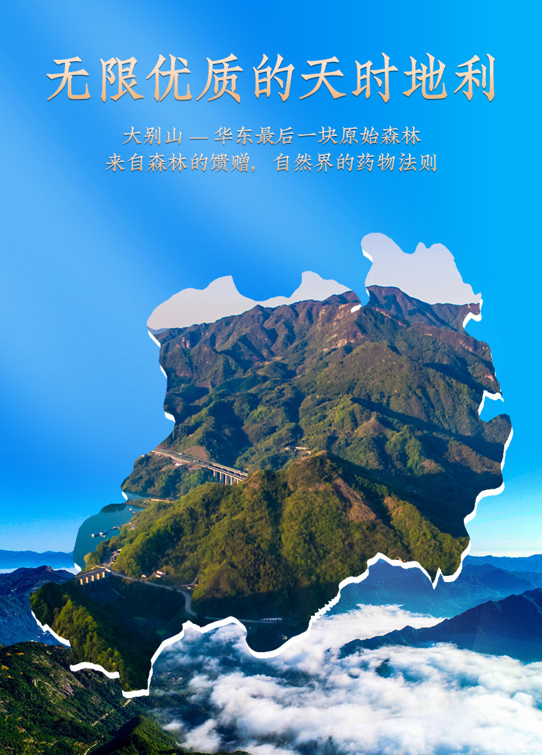 持平史低,霍山石斛标准制定单位:20g 徽元 三年仿野生霍山铁皮石斛枫斗礼盒 70.2元包邮(之前推荐99元) 值值值-买手聚集的地方