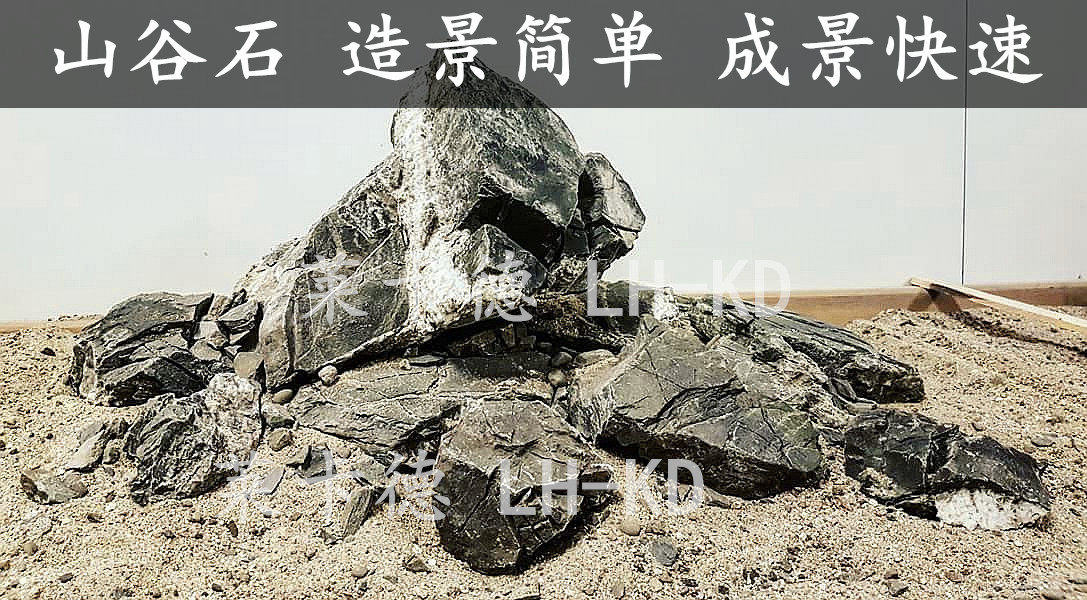 山谷石和青龙石,青龙石造景石头,山谷石造景(第2页)_大山谷图库