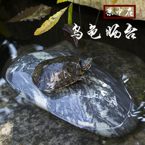 Turtle sunning platform native natural Yangtze pebble turtle sunning stone climbing stone to avoid