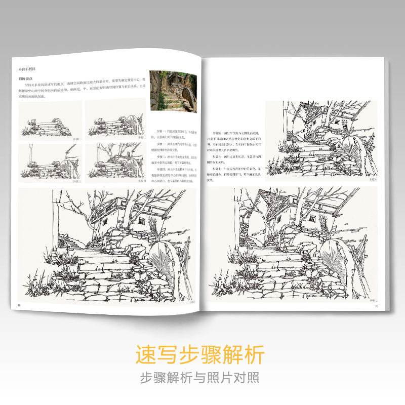 [USD 28.09] Pictured Scenic Script of the Plegan Teaching Materials of ...