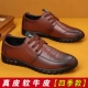 Brown Four Seasons Y8550