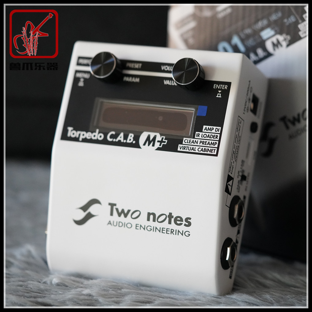 (Veterinary Paw Spot) Two notes Torpedo CAB M IR case for analog DI effectors