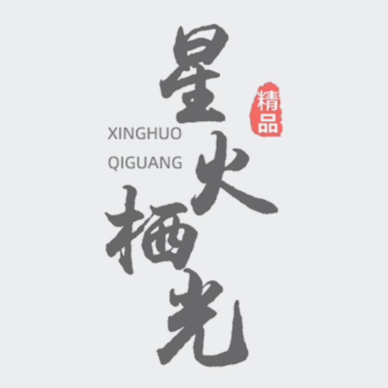 星火栖光的LOGO
