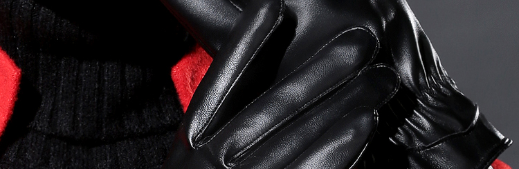 Gants pour homme      - Ref 2781560 Image 12