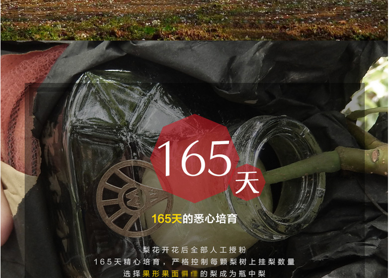 五粮液 永不分梨 40°浓香型白酒 375ml*2瓶 礼盒装 图7