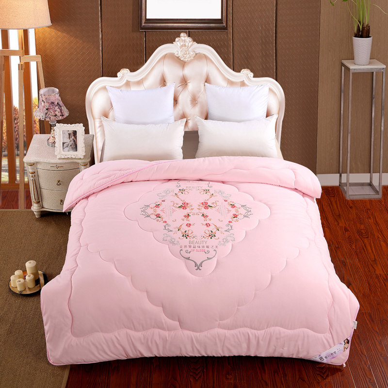 Winter quilt Winter quilt thickened warm quilt core single double space quilt Air-conditioned quilt quilt spring and autumn quilt 6 8 10 pounds