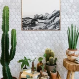 Консалтинг Xiaoliu Emperor  шесть -эпожные Марсель Спун 缡 缡 缡 ┰∈ ┰∈ 籼 籼 籼 籼