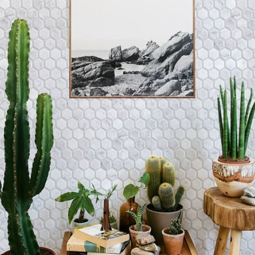 Консалтинг Xiaoliu Emperor  шесть -эпожные Марсель Спун 缡 缡 缡 ┰∈ ┰∈ 籼 籼 籼 籼