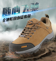 Cedon 2020 autumn winter new low gang of men and women Hiking Shoes Lovers Mountaineering Shoes Non-slip Wear and anti-wear and anti-kick light shoes