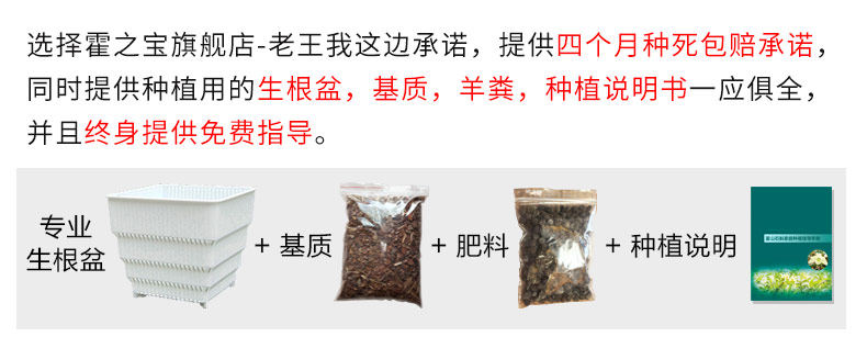 0226 Iron 4 Miao 790_18.jpg