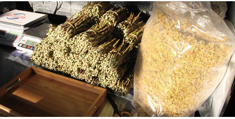 0409 Miaozi 790_08.jpg