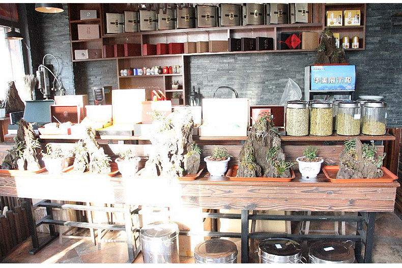 0409 Miaozi 790_09.jpg