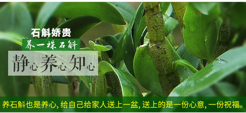 0226 Iron 4 Miao 790_17.jpg