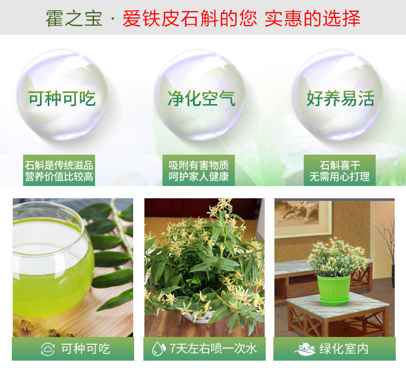 0701 Саженцы 3 горшки 790_04.jpg