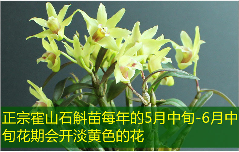 0226 Iron 4 Miao 790_12.jpg