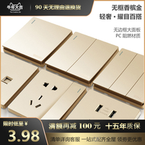 TCL Dbc86 switch socket concealed gold 5 five-hole two-three plug with single dual control USB wall panel