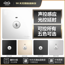 TCL Dbc86 concealed voice control delay sound and light control induction corridor black Gray intelligent second-line panel control LED light