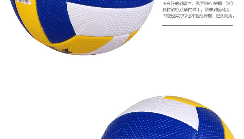 Ballon de volley - Ref 2010982 Image 26